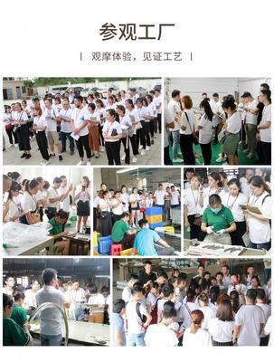 蛻變季 米蘇燈飾M6+超級盈利系統第六期特訓營順利閉營，文化經紀人服務賦能行業新生態